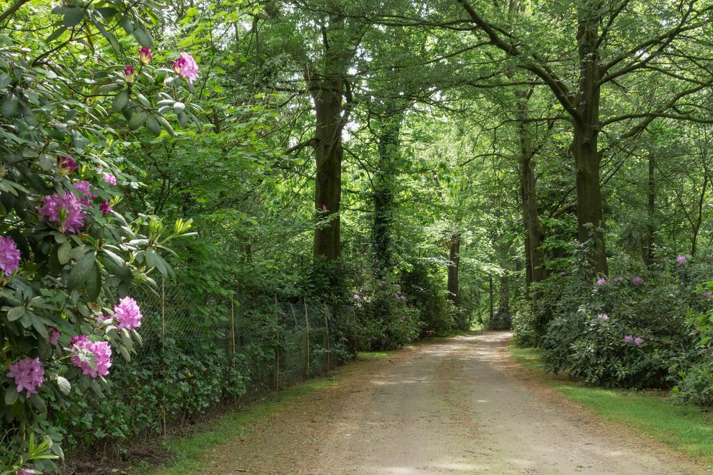 فيلا Bungalowpark Vogelenzang Lage Mierde المظهر الخارجي الصورة