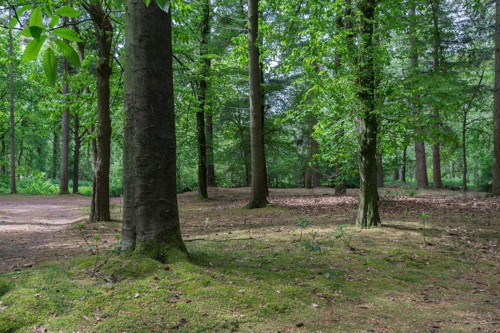 فيلا Bungalowpark Vogelenzang Lage Mierde المظهر الخارجي الصورة