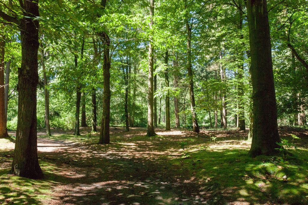 فيلا Bungalowpark Vogelenzang Lage Mierde المظهر الخارجي الصورة