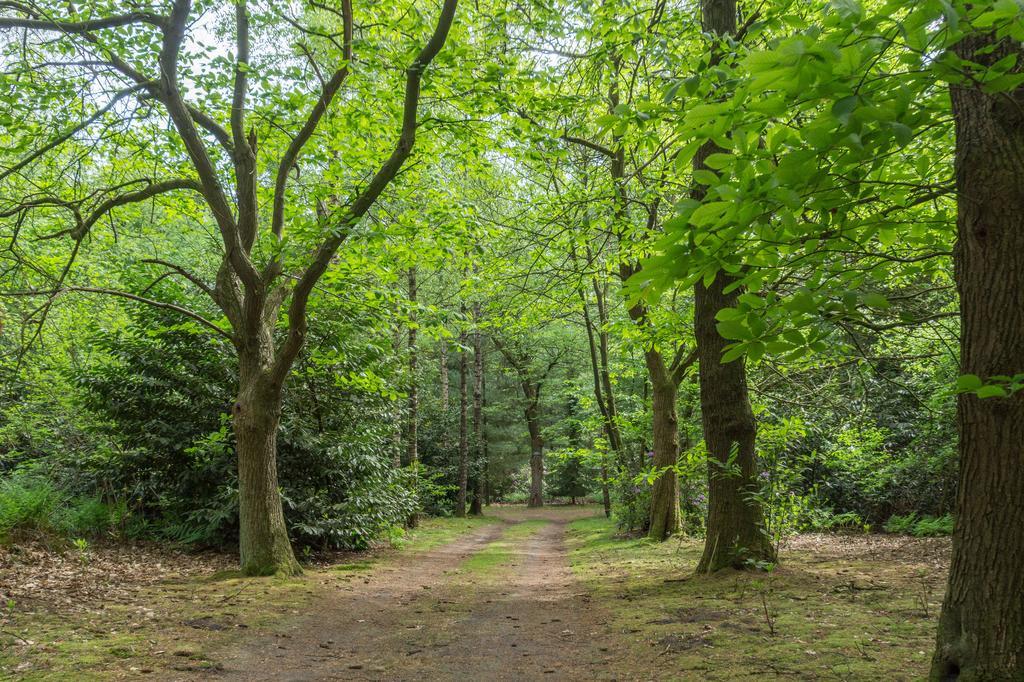 فيلا Bungalowpark Vogelenzang Lage Mierde المظهر الخارجي الصورة